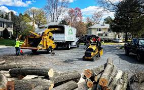 Best Hazardous Tree Removal  in Lake Sconsin, WI